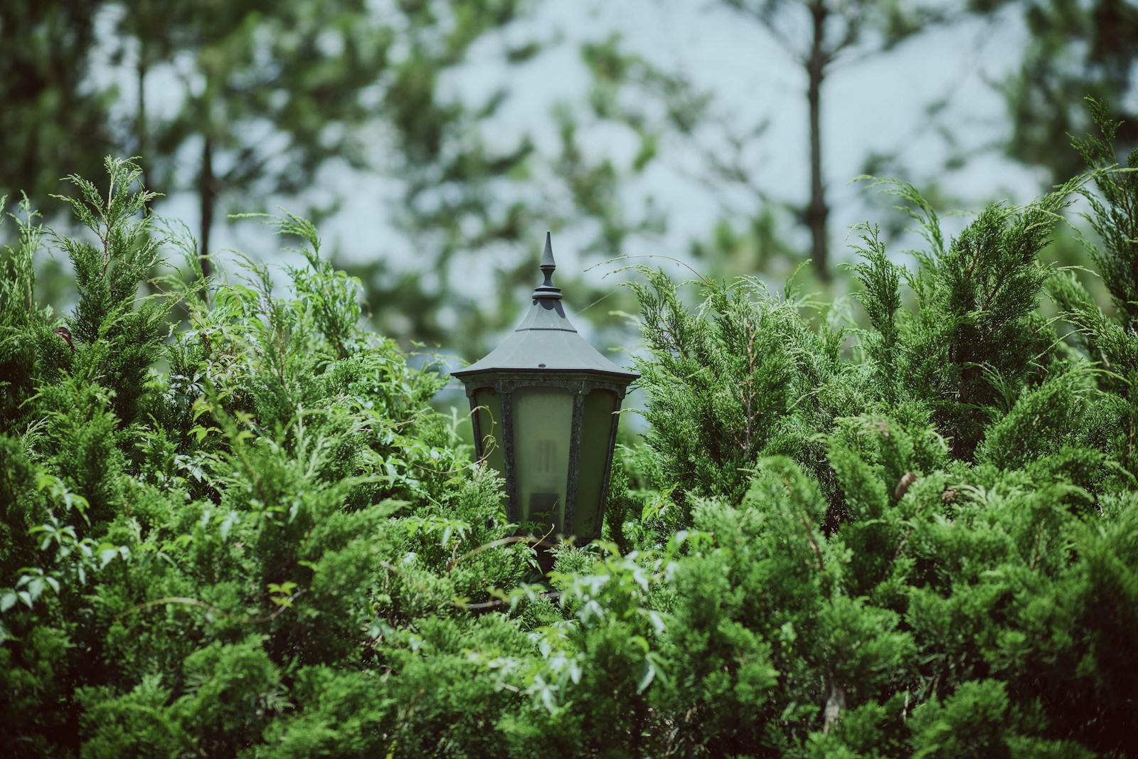 Oświetl swój ogród stylowymi lampami ogrodowymi